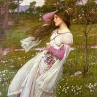 Người dùng Debra Carey